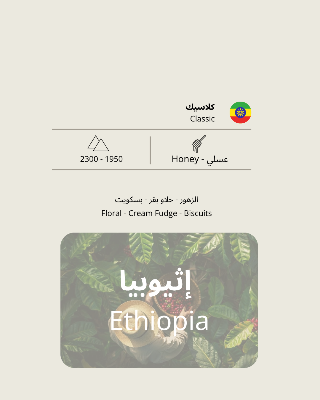 قهوة مقطرة